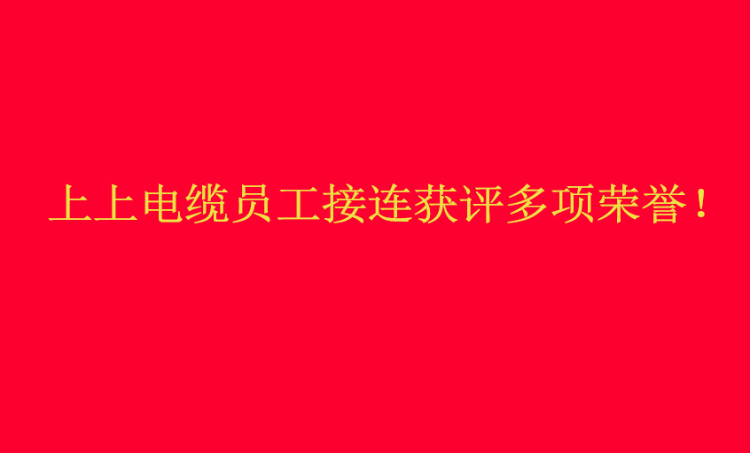 必赢官网员工接连获评多项荣誉